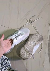 Off White Shoe