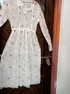 Sheer Embroidered Floral Mini Dress