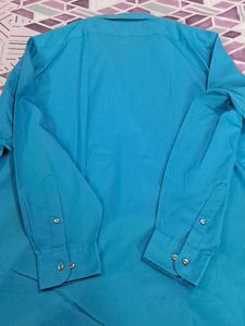 Sea Green Men's