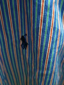Striped Shirt