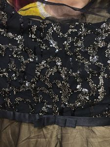 Stunning Sequined Ethnic Gown
