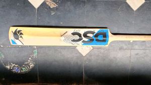 DSC English Willow Cricket Bat
