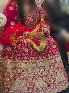 Rani pink Embroidered Lehenga Choli
