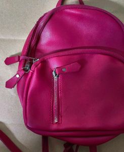Chic Pink Mini Backpack