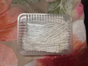 Cotton Wicks for Pooja