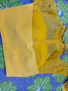 Alisha Panwar Designer Lehnga
