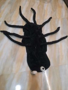 Spider Pet Costume for Halloween