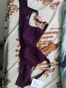 Seamless T-Shirt Bra - All Day Comfort