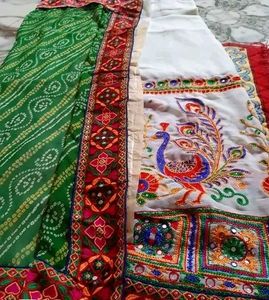 Colorful Embroidered Saree