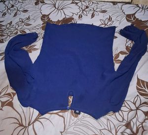 Blue Top with Puffy Sleeves