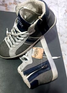 Authentic Alcott &amp; Co.