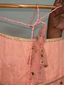 Elegant Pink Embellished Gown