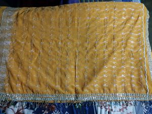 Women Wedding Sari