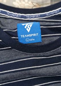 Men's Striped T-Shirt