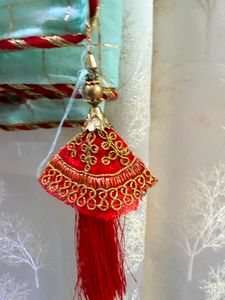 Designer Saree with Embellishments