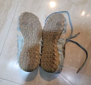 Sport Sneakers
