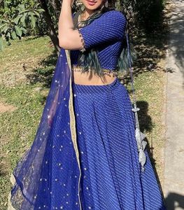 Blue Striped Lehenga with Embellished Border