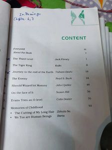 Vistas - Class XII Textbook.