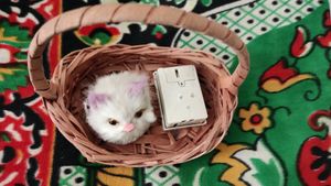 small basket