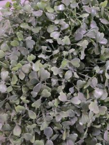 Artificial Green Plant