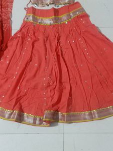 Traditional Indian Lehengacholi Set