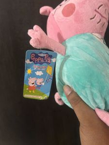 Daddy Pig from Peppa holding his briefcas