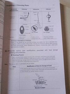 NCERT exampler (physics, chemistry, biology)