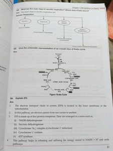 Senior Inter Botany Study Material for ts intermed