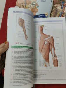 Thieme Dissector - Anatomy Book Set