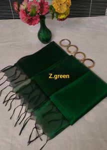 Elegant Z.green Net Dupatta