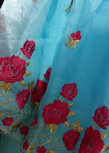 Beautiful Blue Embroidered Skirt