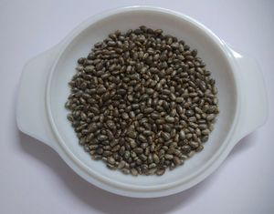 Castor Seeds