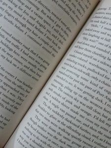 Twilight by Stephen Meyer