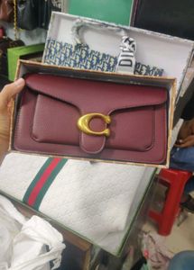 Coach Slingbags