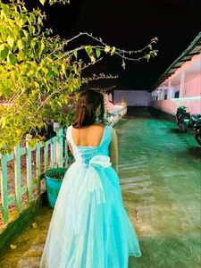 Customized Cinderella Dress