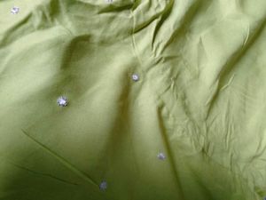 Lime Green Ethnic Blouse