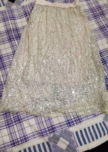 Very Fancy Sequin Work Skirts