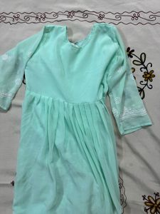 Mint Green Chikankari Gown