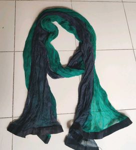 Beautiful Green and Grey Dupatta