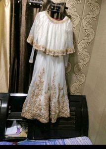 Elegant beigee & Gold Embroidered gown