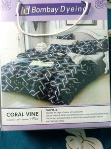 Bed Sheet & Curtains