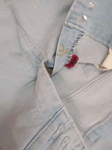 Light Blue Distressed Embroidered Jeans