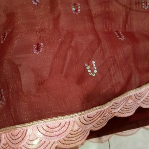 Saree Organza Shimmer Cutwork