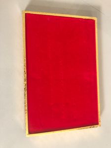 PRICE DROP Ring Velvet Organiser
