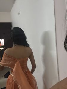 Elegant Orange organza Lehenga Choli