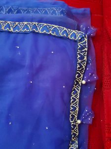 Jarkan Work Heart Shape Design Net Saree