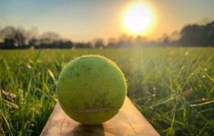 Tennis Cricket Ball, Used