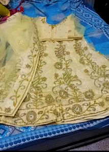 Embellished Lehenga Choli Set