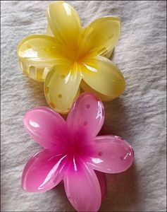 Floral Flower Hair Clips - Set of 2
