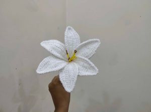 1 Crochet Lilly for 249 only 🩷